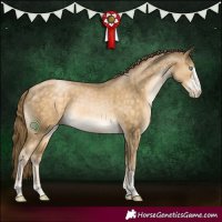 Horse Color:Buckskin Pearl Sabino 