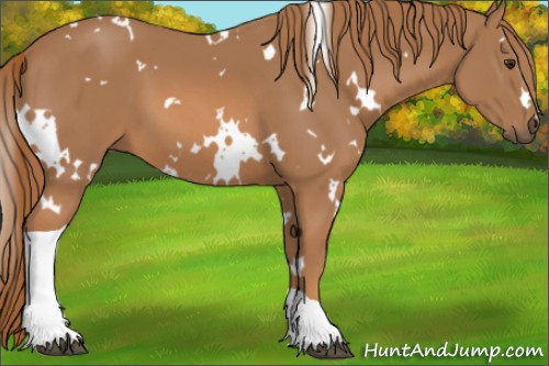 Horse Color:White Spotted Chestnut Tobiano 