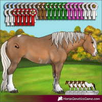 Horse Color:Silver Buckskin Sabino Tobiano