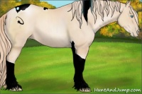 Horse Color:Gold Champagne Pearl Tobiano 