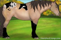 Horse Color:Sable Champagne Tobiano Appaloosa 
