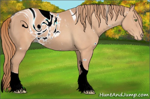 Horse Color:ERROR: UNKNOWN ANOMALY