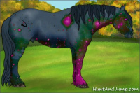 Horse Color:ERROR: UNKNOWN ANOMALY