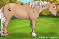 Horse Color:Silver Classic Champagne Tobiano