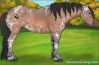 Horse Color:Brown Ice 