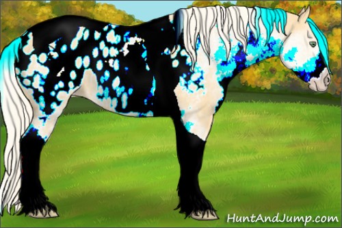 Horse Color:White Spotted Gold Cream Champagne Tobiano Appaloosa