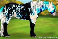 Horse Color:White Spotted Gold Cream Champagne Tobiano Appaloosa 