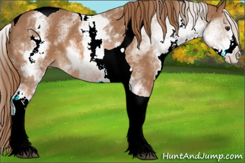Horse Color:White Spotted Chestnut Tobiano