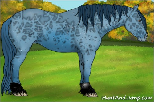 Horse Color:ERROR: UNKNOWN ANOMALY