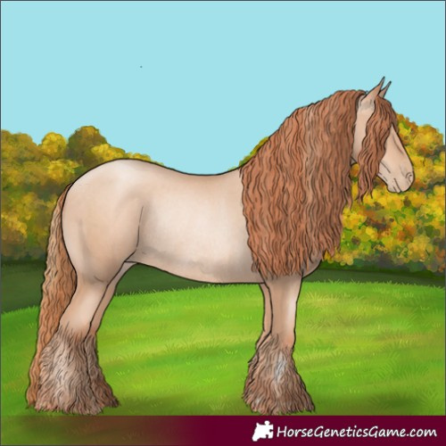 Horse Color:Gold Champagne Pearl Rabicano  and Sable Champagne Pearl Rabicano 