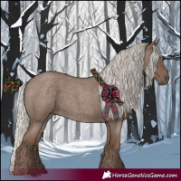 Horse Color:Silver Blue Roan 