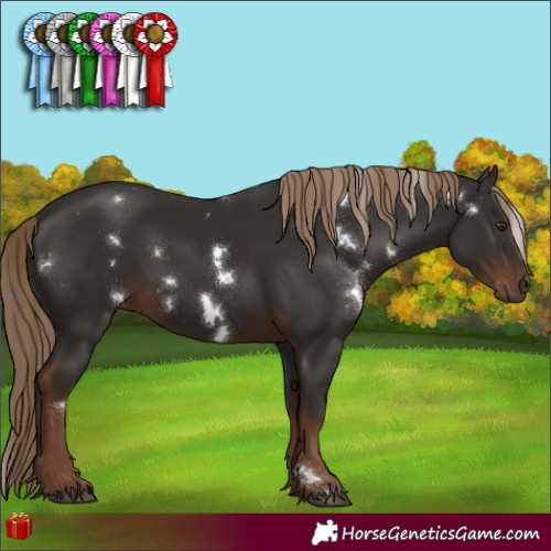 Horse Color:White Spotted Liver Chestnut 