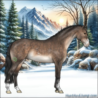 Horse Color:Brown Dun Sabino