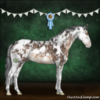 Horse Color:Brown Dun Sabino Brindle