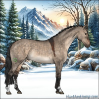 Horse Color:Brown Dun Sabino Rabicano