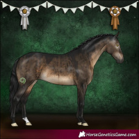Horse Color:Gray Brown Dun Brindle