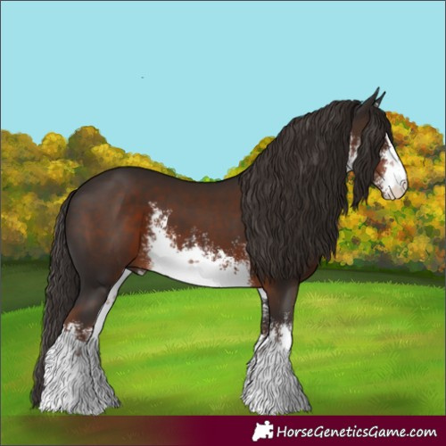 Horse Color:White Spotted Liver Chestnut 