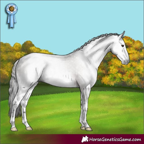 Horse Color:Gray White Spotted Liver Chestnut 