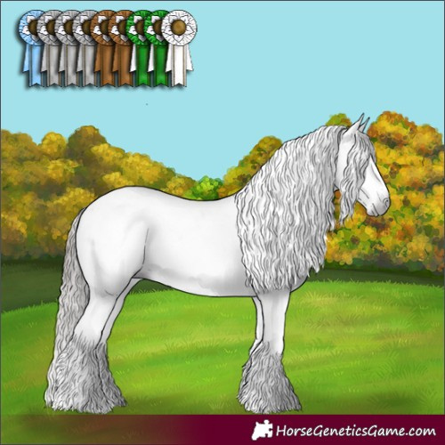 Horse Color:Gray White Spotted Brown Appaloosa 