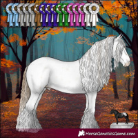Horse Color:Amber Cream Champagne Sabino Appaloosa