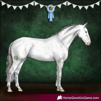 Horse Color:Buckskin Dun Sabino Appaloosa