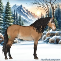 Horse Color:Gray Bay Dun 