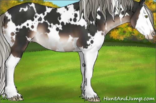 Horse Color:White Spotted Liver Chestnut Mushroom Splash 