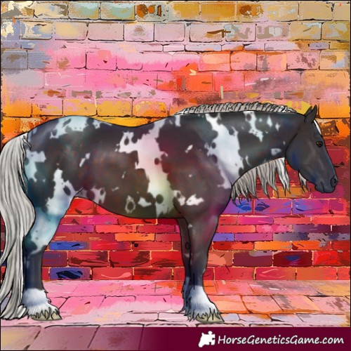Horse Color:White Spotted Silver Brown 