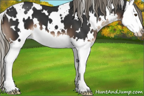 Horse Color:White Spotted Liver Chestnut Mushroom Splash 