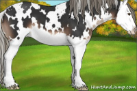 Horse Color:White Spotted Liver Chestnut Mushroom Splash 