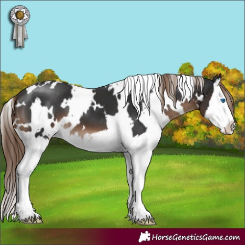 Horse Color:White Spotted Liver Chestnut Splash