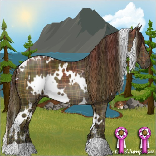 Horse Color:Plaid  White Spotted Liver Chestnut 