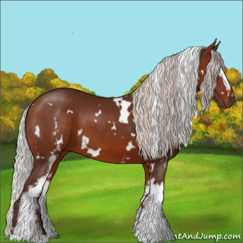 Horse Color:White Spotted Silver Bay 