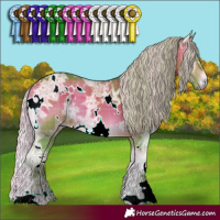 Horse Color:Watercolor Plaid White Spotted Silver Bay Ice Onyx