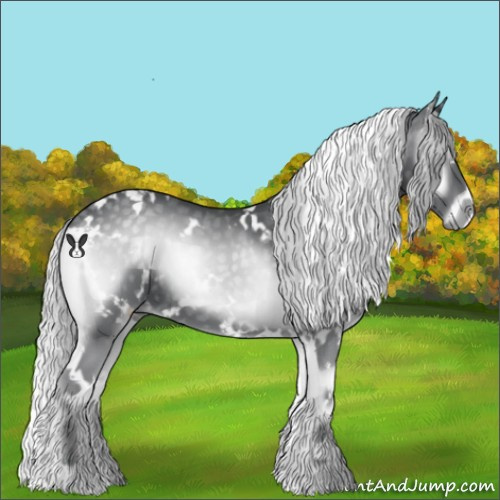 Horse Color:White Spotted Silver Blue Onyx Chinchilla 