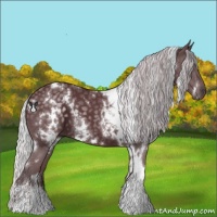 Horse Color:White Spotted Chocolate Silver Black Chinchilla 