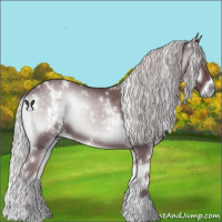 Horse Color:White Spotted Chocolate Silver Blue Onyx Chinchilla 