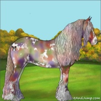 Horse Color:Nacre White Spotted Chocolate Silver Blue Onyx Sabino 