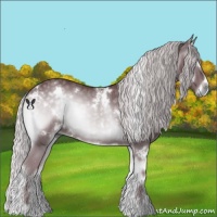 Horse Color:White Spotted Chocolate Silver Blue Onyx Chinchilla 