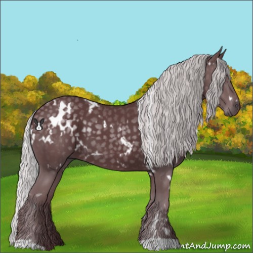 Horse Color:White Spotted Chocolate Silver Black Chinchilla 