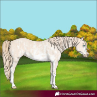 Horse Color:Perlino Sabino  and Perlino Sabino Frame 