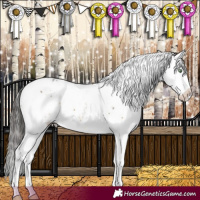 Horse Color:Buckskin Dun Sabino Appaloosa Brindle 