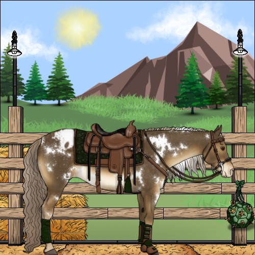 Horse Color:White Spotted Chocolate Palomino Appaloosa 