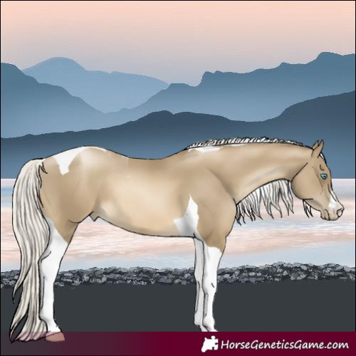 Horse Color:Silver Smoky Black Pearl Tobiano 