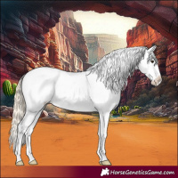 Horse Color:Palomino Snowcap