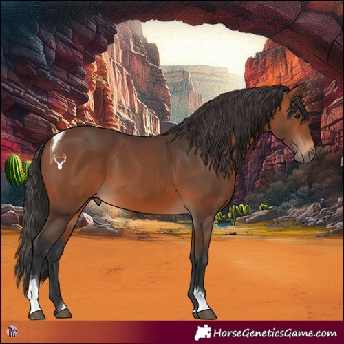 Horse Color:Bay Tobiano 