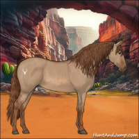 Horse Color:Red Dun 