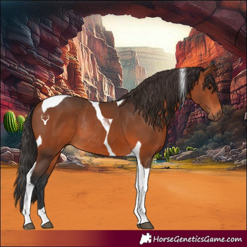Horse Color:Bay Tobiano Rabicano