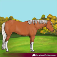Horse Color:Silver Bay Tobiano 