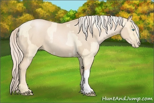 Horse Color:Palomino Roan Pearl and Palomino Roan Pearl